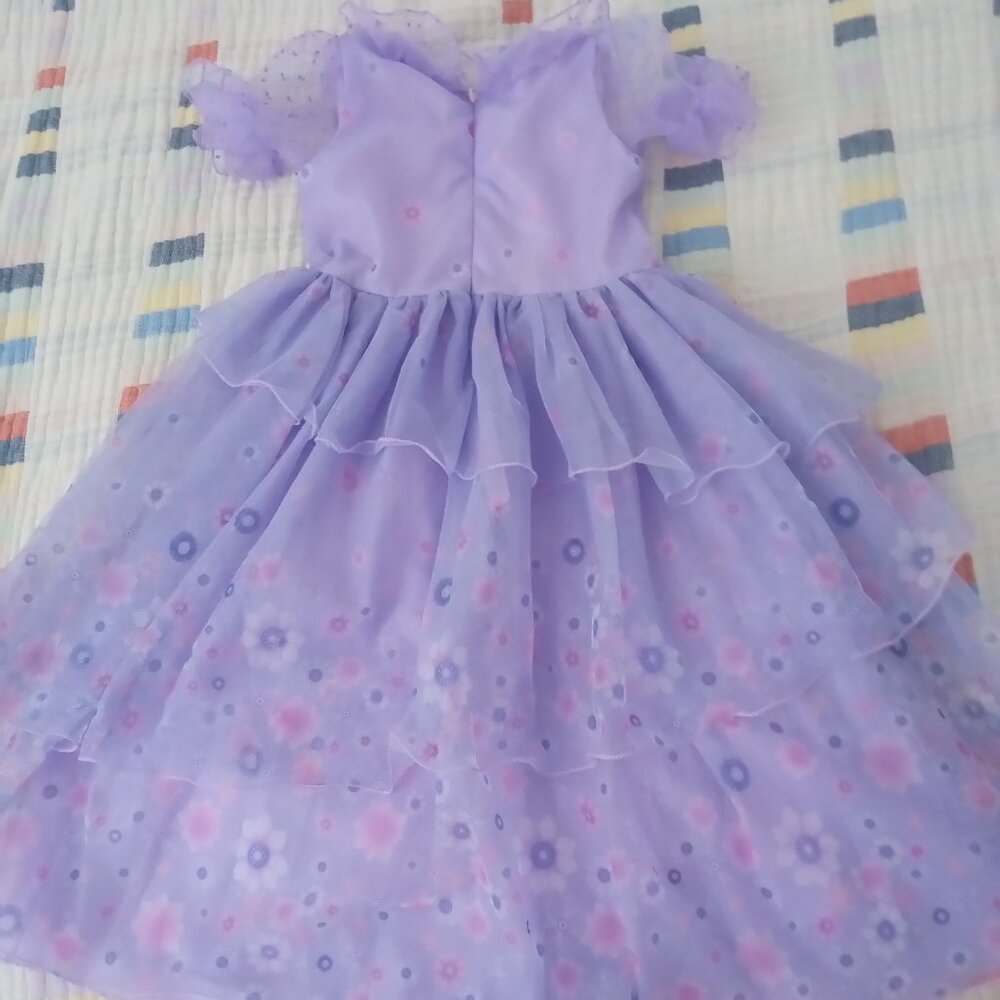 Girls 3 custom princess dresses: Isabella (encanto) & 2 Elsa Frozen